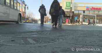 Motion to reduce speed along Van Horne Avenue in the name of pedestrian safety