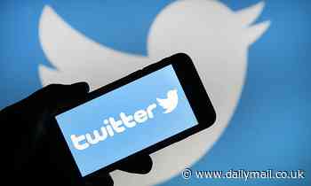 'Twitter's API is BROKEN': Users worldwide are unable to access outbound links on the platform