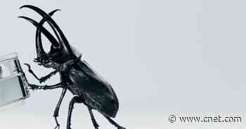 Nothing To Unveil Ear 2 Earbuds On March 22     - CNET