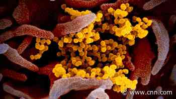 Republican senators ask US intelligence chief for evidence behind latest assessment of Covid-19 pandemic origins