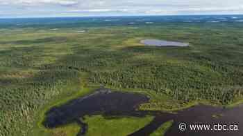 Ontario approves environmental assessment terms of reference for 3rd and final road to Ring of Fire