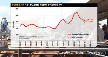 ABARES plays down labour crisis in abattoirs