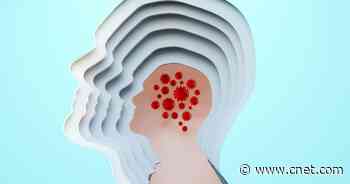 What Scientists Know About Long COVID, 3 Years In     - CNET