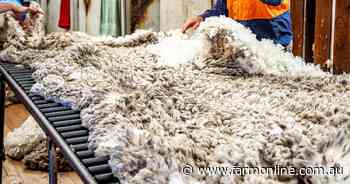 Wool prices tipped to rise