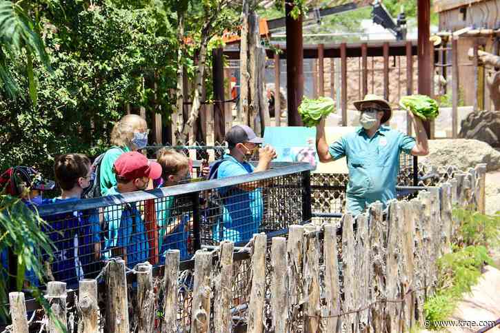 What camps are available for Spring Break 2023?