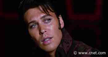 2023 Oscars: How to Watch and Stream the Nominees     - CNET