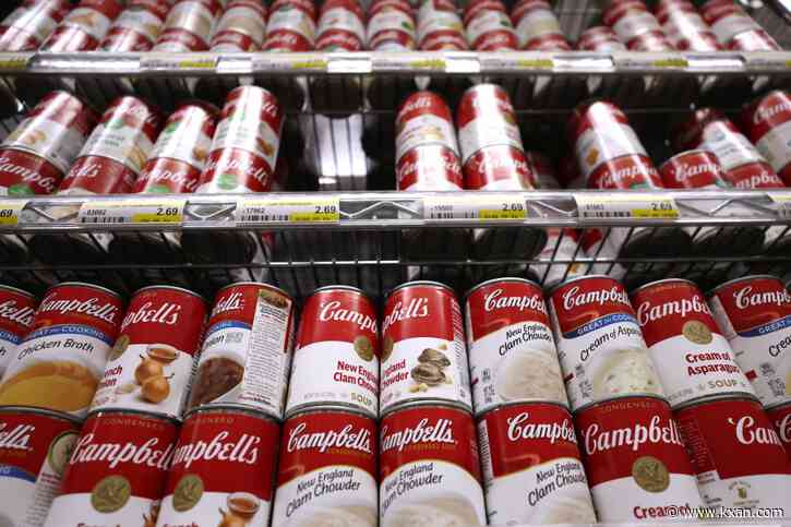 Soup cans can waive some UT parking fines