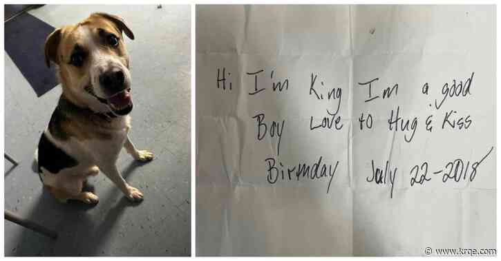 Dog abandoned at Burger King with note saying 'I'm a good boy'