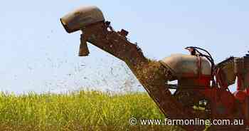 Sugar jumps in the short term before gentle decline