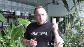 Sask farmer growing tropical foods in his passive solar greenhouse