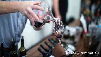 Wineries eye further opportunities in US as China continues to squeeze producers