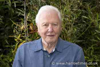 David Attenborough kept away from birds in Wild Isles over Avian Flu
