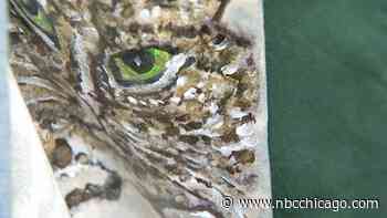 Women's History Month: 12-Year-Old's Design Work Helps Channel Pain Into Art