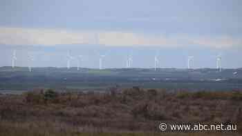 Wind war sparked by 'disappointing' EPA approval of $1.6b energy farm