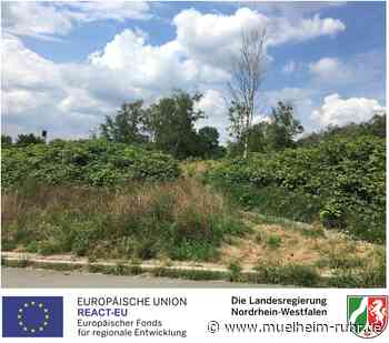 Naturerfahrungsraum "Peisberg"