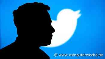 BBC-Bericht deckt auf: Personalabbau bei Twitter lässt Trolle jubeln