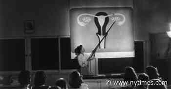 Book Review: ‘Womb: The Inside Story of Where We All Began,’ by Leah Hazard