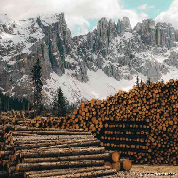 "We need to start using our wood more efficiently"