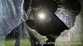 Baumaschinen geklaut: Unbekannte brechen in Rohbau in Nagold ein