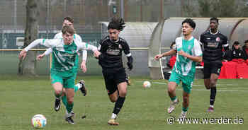 LZ-Mannschaften überzeugen auf heimischem Rasen