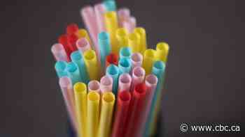 Canada's single-use plastic ban faces its first legal test