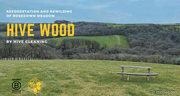 Hive Cleaning’s tree planting project takes root in Devon