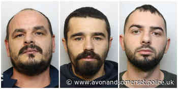 Trio jailed after police discover cannabis factory in Nailsea