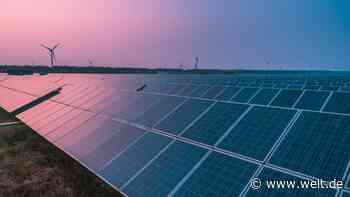 Deutschlands Gründerszene verpasst die grüne Vorreiter-Rolle