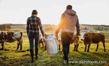 Three ways the next Farm Bill can support U.S. dairy