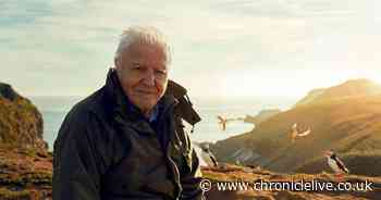New Sir David Attenborough BBC series Wild Isles to star Northumberland on Sunday night