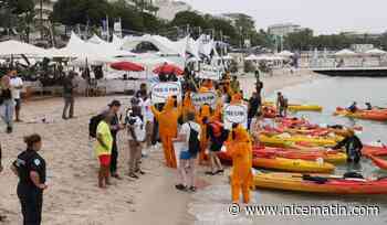 "Le maire de Cannes réagit à l’excès", selon Greenpeace après la condamnation de cinq militants