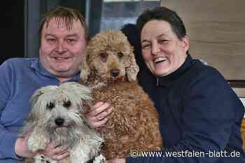 Angriff von Schäferhund-Mischling: Hunde aus Merlsheim flüchten bis Erpentrup