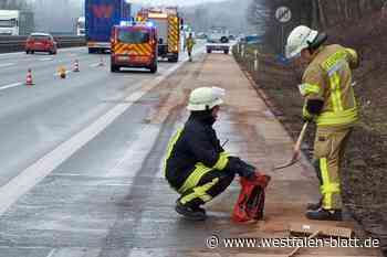 A44: Feuerwehr nach Motorplatzer im Einsatz