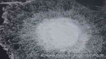 Sprengung der Nord-Stream-Pipelines: Spuren führen in die Ukraine