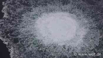 Pro-ukrainische Kräfte sollen Nord-Stream-Pipelines zerstört haben