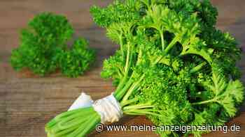 Kräuter richtig lagern: Mit vier Methoden bleiben sie länger frisch