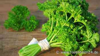 Kräuter richtig lagern: Mit vier Methoden bleiben sie länger frisch