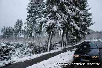 Winterwetter mit Schnee im Kreis Höxter: Unfälle und glatte Straßen