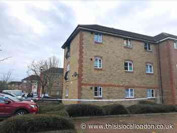 Barking, Stern Close fatal fire: Neighbours 'heard screams'