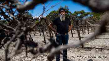 Peter's business relies on water, but too much of it has left him with no income