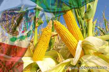 Mexico vows not to budge on US corn dispute