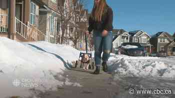 Calgary group helps to care for animals with disabilities