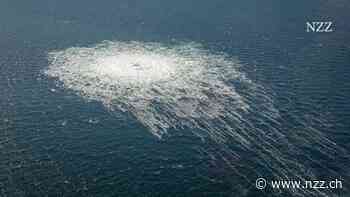 Anschläge auf Nord-Stream-Pipelines: Neue Spur deutet auf proukrainische Gruppe hin