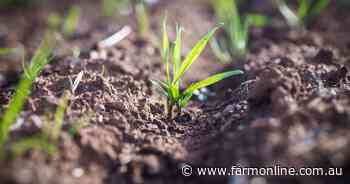 $12.7 million investment into wheat research