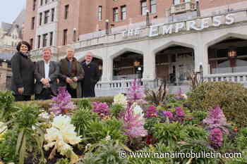 Greater Victoria flower count returns to sow community competition, share local beauty