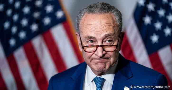 Schumer Makes Desperate Plea to Fox News After Learning Carlson's Next Jan. 6th Segment - What Else Is There?