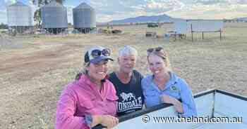Duri Ag Bureau's sorghum competition impacted by wet then dry
