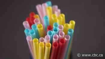 Canada's single-use plastic ban faces its first legal test