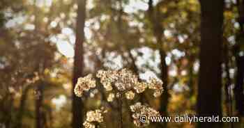 To develop its own climate plan, Kane County is asking for community feedback
