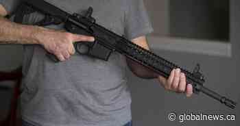 Lack of Indigenous consultation showed ‘incoherence’ of failed firearm amendment: leaders